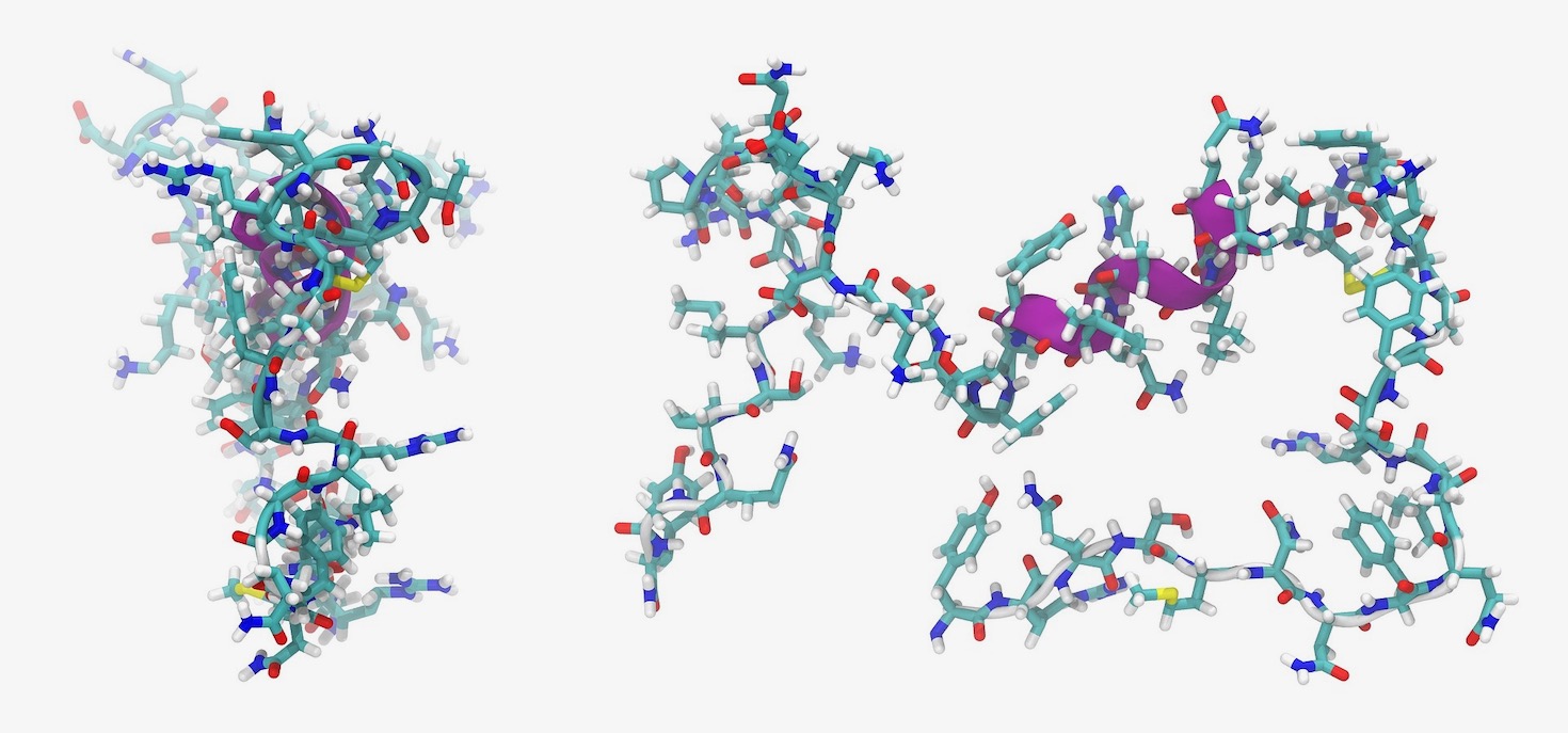 How do Peptides Work for Men? Throughout your body, you naturally produce peptides for very specific functions. Once created, they act as messengers, giving specific instructions to other cells or organs, often telling them to increase the production of something the body needs.